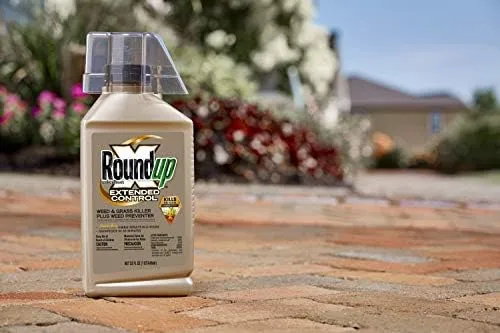 Roundup Extended Control Weed Grass Killer