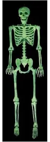 Crazy Bonez Pose-N-Stay Glow in The Dark Life Size 5 FT Skeleton with Realistic Posable and Movable Joints for Halloween Indoor and Outdoor Decoration