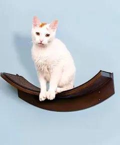 The Refined Feline Lotus Leaf Cat Shelf