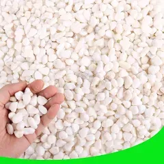 White Pebbles, 3 lbs - Decorative Stone for Garden Vases, Gravel for Plants