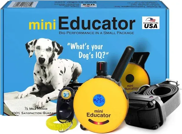 E-Collar Technologies Educator Mini Dog Training Collar 1/2 Mile Range ET-300