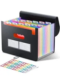 ThinkTex Accordian File Organizer