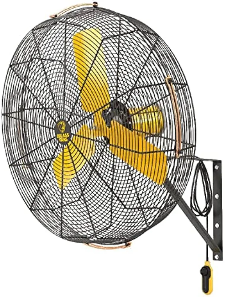 Big Ass Fans AirEye 30" Wall Mount Fan