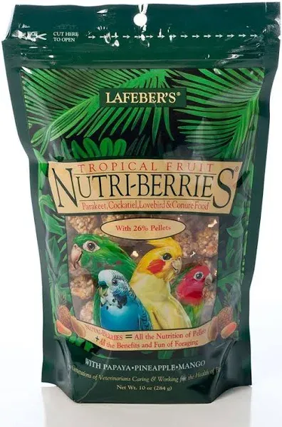 LAFEBER'S Tropical Fruit Nutri-Berries Pet Bird Food, Made with Non-GMO and Human-Grade Ingredients, for Parrots, 10 oz