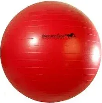 Horsemen's Pride 40 in Green Jolly Mega Ball