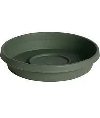 Bloem Terra 14.75 in. Living Green Plastic Plant Saucer Tray 51416