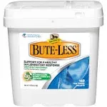 Bute-Less Horse Supplement 10 Lbs by Absorbine