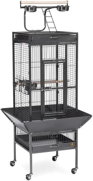 Prevue Pet Products Select Series Wrought Iron Parrot Cage, Coco Brown