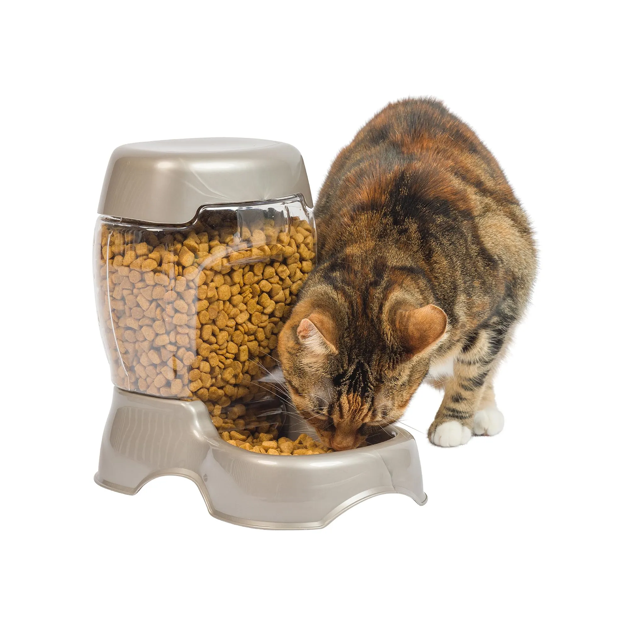 Petmate Cafe Pet Feeder