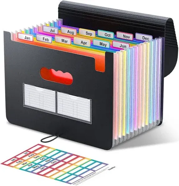 Accordian File Organizer