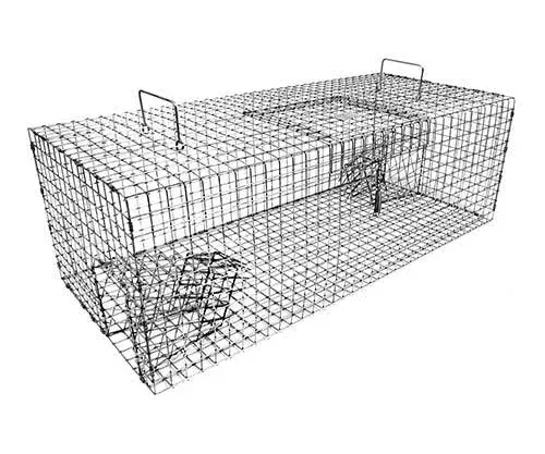 Model 503 - Tomahawk Double Door Starling Trap