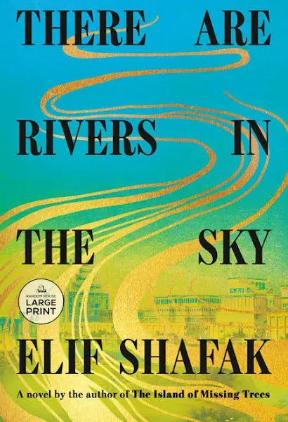 There Are Rivers in the Sky: A Novel