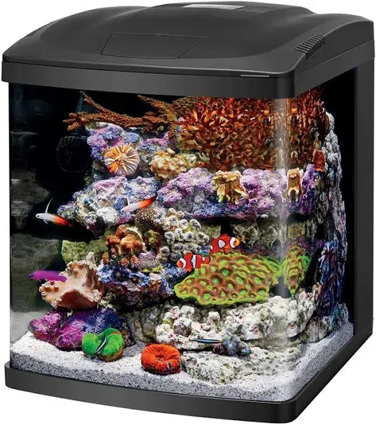 Coralife LED BioCube Aquarium