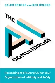 The AI Conundrum: Harnessing the Power of AI for Your OrganizationProfitably and Safely