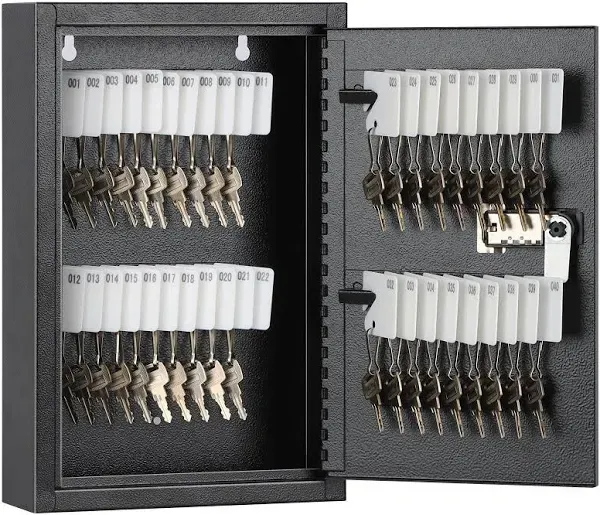 Locking Key Cabinet, 40 Key Storage Lock Box with Code, Key Management Wall Moun