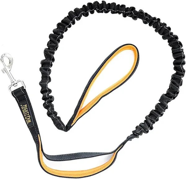 Dual Handle Bungee Leash