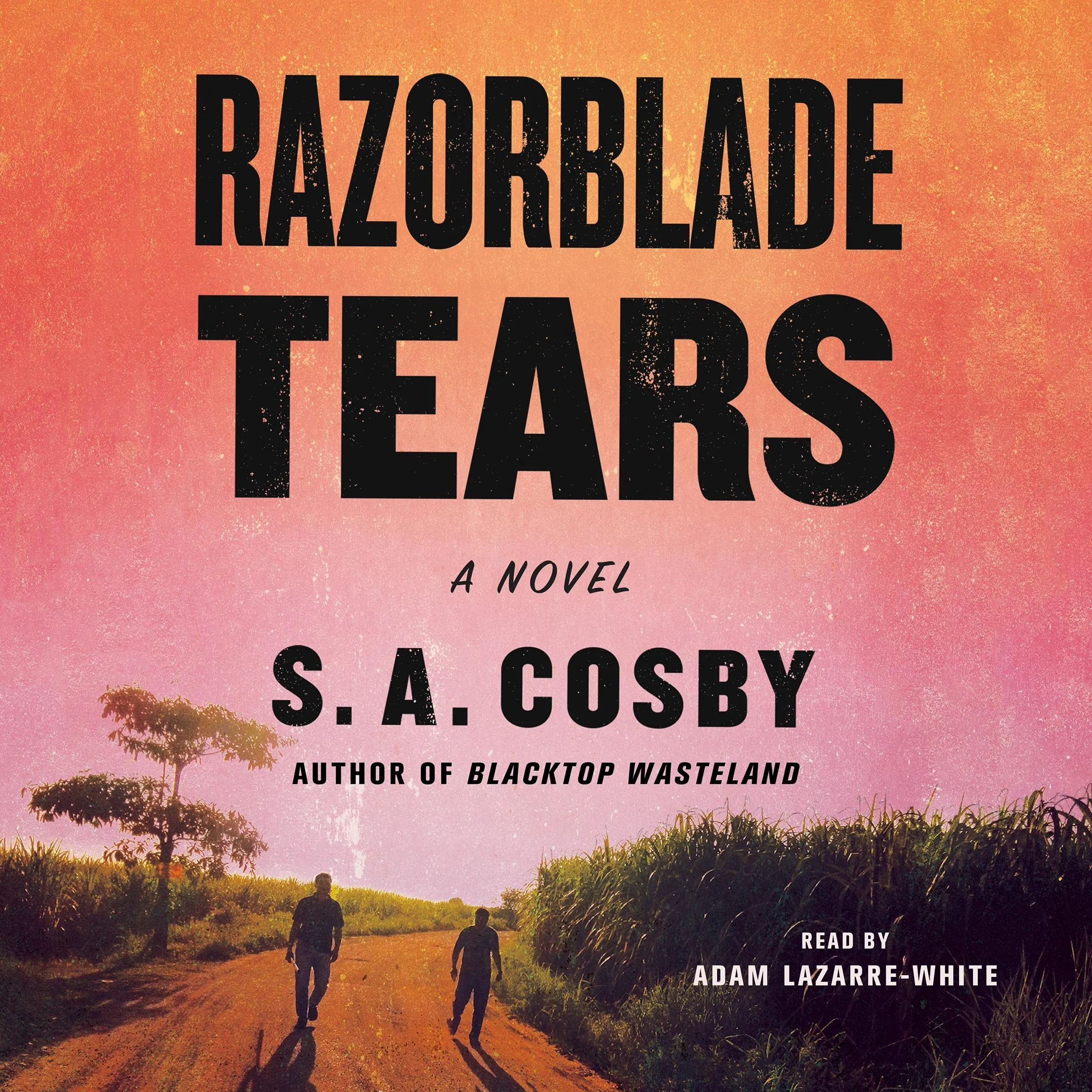 Razorblade Tears - paperback, 9781250252715, S A Cosby, new