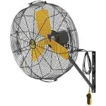 Big Ass Fans AirEye 24-inch Wall Mount Fan