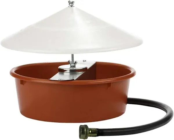 Little Giant Automatic Poultry Waterer