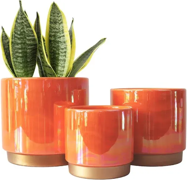 Ceramic Indoor Pots for Plants