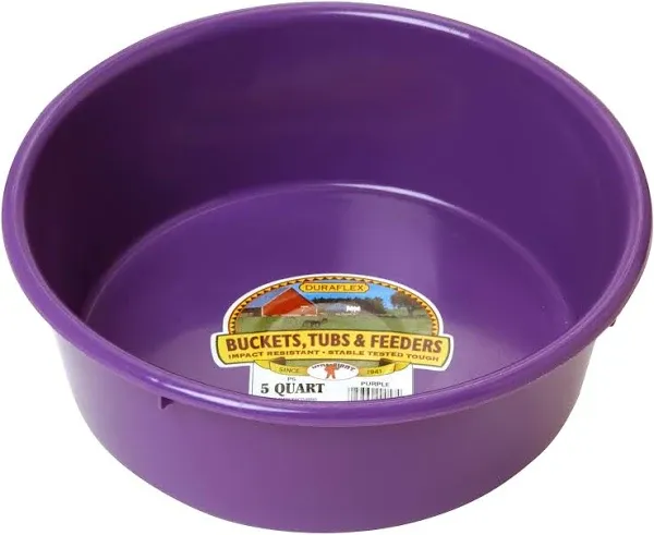 Little Giant 5 Quart Plastic Utility Pan - Purple