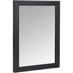 Amazon Basics Rectangular Wall Mount Mirror