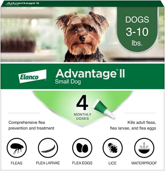 Advantage II 4-Dose Flea Treatment for Small Dogs - 3-10lbs 🔥NEW🔥