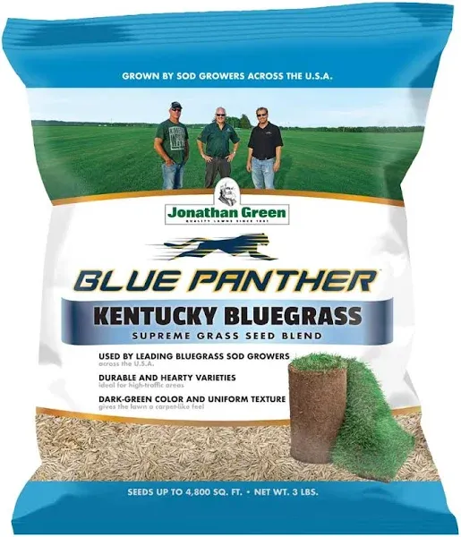 Jonathan Green Blue Panther Kentucky Bluegrass Grass Seed