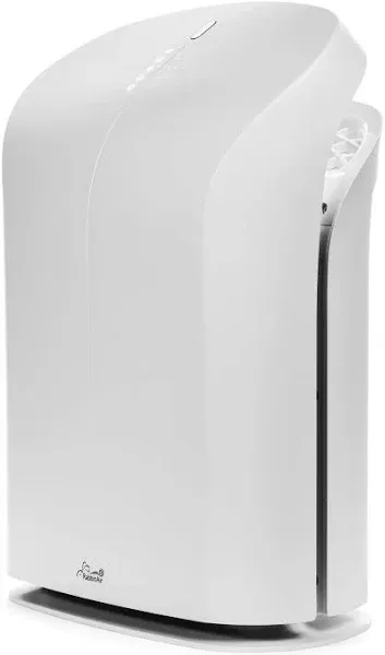 Rabbit Air BioGS 2.0 Air Purifier