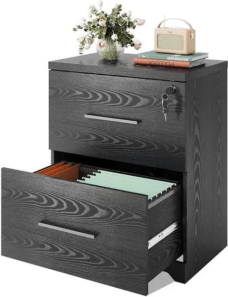 DEVAISE 2 Drawer Lateral File Cabinet with Lock