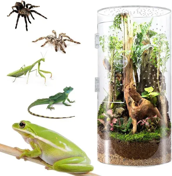 Front Opening Terrarium Jumping Spider Enclosure,12&#034;*<wbr/>6&#034;*6&#034;Tall Arboreal Taran...