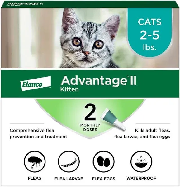 Advantage II Kitten Vet-Recommende<wbr/>d Flea Treatment &amp; Prevention | Cats 2-5...