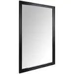 Amazon Basics Rectangular Wall Mount Mirror