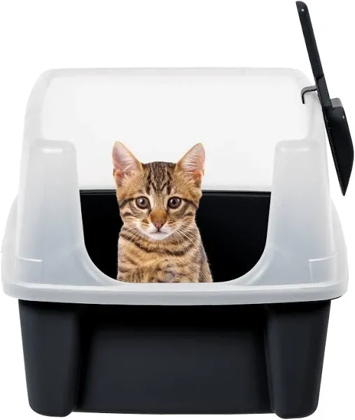 Open-Top Cat Litter Box with Shield and Scoop, Black Big Kitty Pan Pet Animal