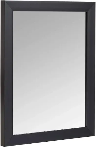 Basics Rectangular Wall Mirror 16 inch x 20 inch - Standard Trim, Black