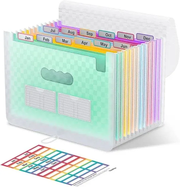 ThinkTex Accordian File Organizer 12 Pockets Expanding File Folders Portable Monthly Bill Receipt Organizer