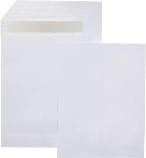 Amazon Basics Catalog Mailing Envelopes, Peel and Seal, 10x13 100-Pack, White 