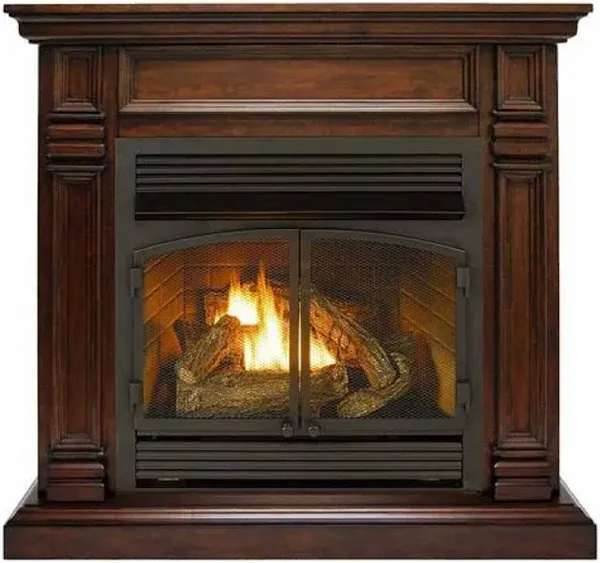 Duluth Forge Dual Fuel Ventless Gas Fireplace