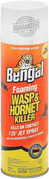 Bengal Wasp & Hornet Killer, Foaming - 18 oz