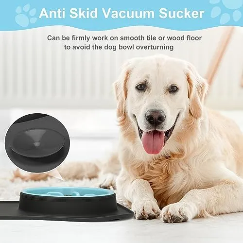 Anipaw Slow Feeder Dog Bowls 3 in 1 Stainless Steel Food and Water Bowls with Non-Spill and Skid Silicone Mat to Slow Down Eating for Large Medium