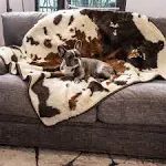 Paw PupProtector Waterproof Throw Blanket Brown Faux Cowhide Original