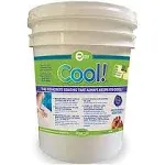 Encore Coating ECK-1 Cool Pool Deck Coating