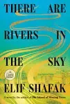 There Are Rivers in the Sky: A Novel [Book]