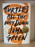 Turtles All the Way Down [Book]