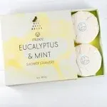 Eucalyptus & Mint Shower Steamers