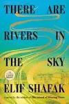 There Are Rivers in the Sky: A novel