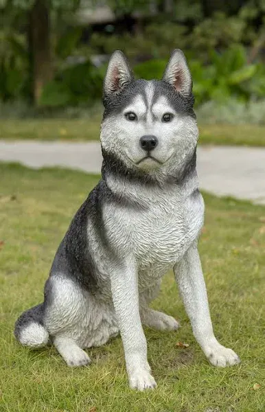 Hi-Line Gift Sitting Siberian Husky Outdoor Garden Statue