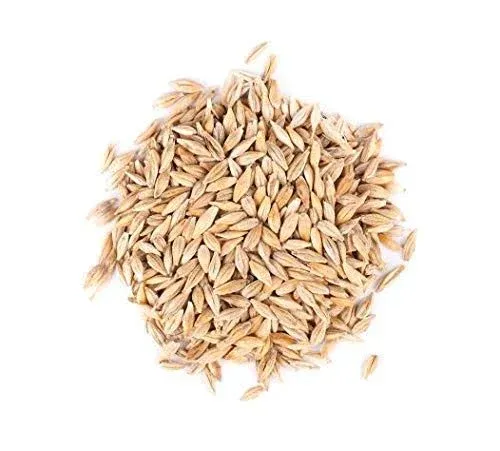 Thunder Acres Barley Seed