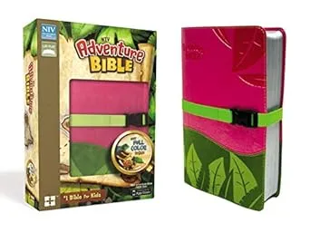 NIV, Adventure Bible, Leathersoft, Pink/Green, Full Color