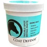 COAT DEFENSE Trouble Spot Drying Paste for Horses - Natural Equine Wound Care...